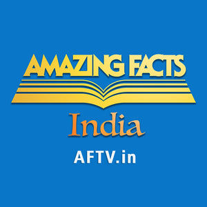 Amazing Facts Logo- Fridge magnet