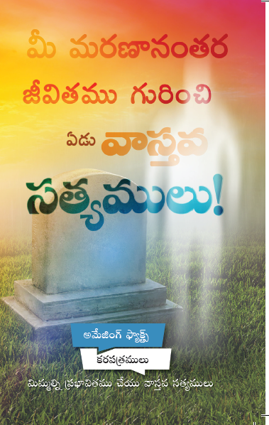 Seven Facts about AfterLife! (100/Pack)-Telugu